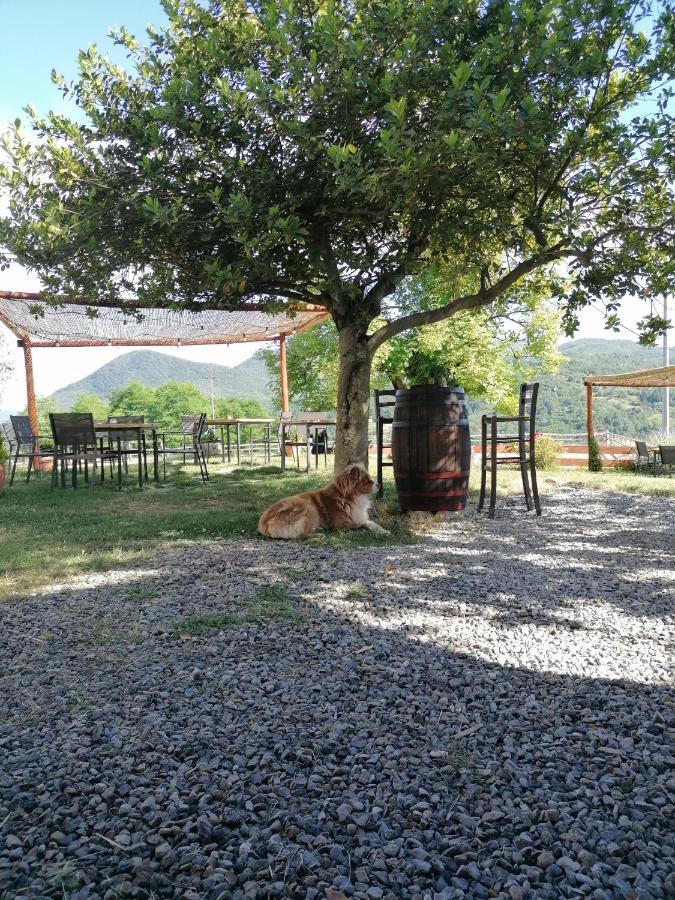 Agriturismo Dei Legi San Pietro Vara Exterior photo