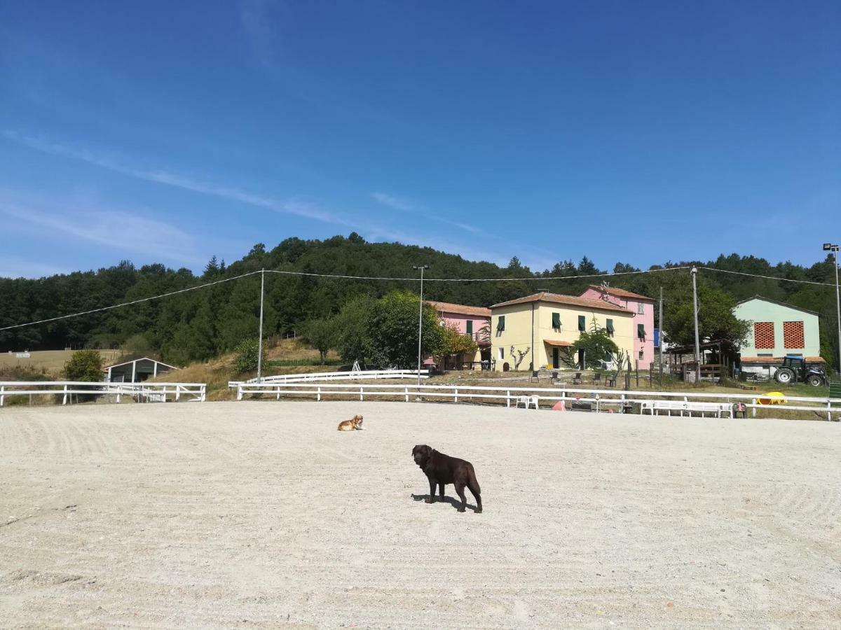 Agriturismo Dei Legi San Pietro Vara Exterior photo